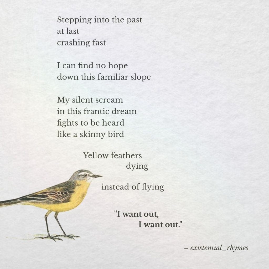 Best short poems about birds