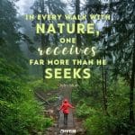 best nature quotes for instagram